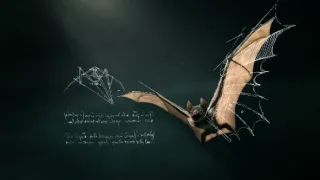 Leonardo da Vinci, všestranný umělec