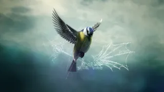 Leonardo da Vinci, všestranný umělec