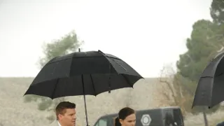 Sběratelé kostí VII (9)