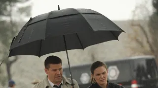 Sběratelé kostí VII (9)