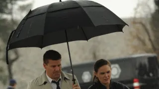 Sběratelé kostí VII (9)