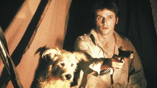 Crusoe