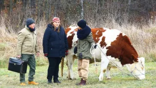 Slunečná (91)