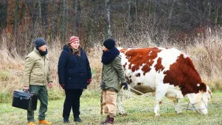 Slunečná (91)