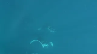 Rok na planetě Zemi (3/6)