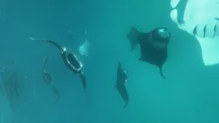 Rok na planetě Zemi (3/6)