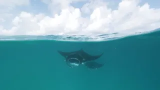 Rok na planetě Zemi (3/6)