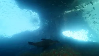 Rok na planetě Zemi (3/6)