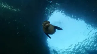Rok na planetě Zemi (3/6)