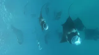 Rok na planetě Zemi (3/6)