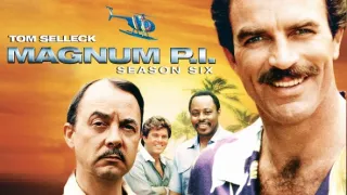 Magnum VI