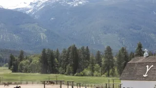 Yellowstone (8/9)