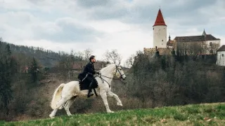 Zrádci