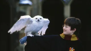 Harry Potter és a bölcsek köve