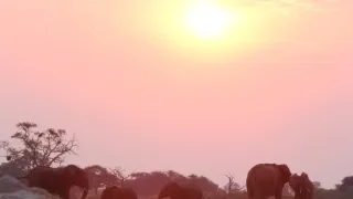 Rok na planetě Zemi (4/6)