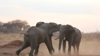 Rok na planetě Zemi (4/6)