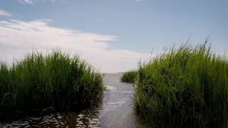 Zázraky lidského génia II