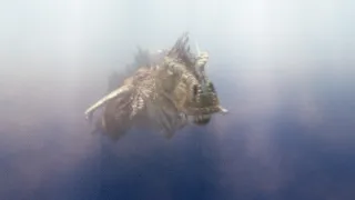 Poseidon Rex