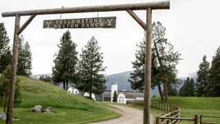 Yellowstone (8/9)