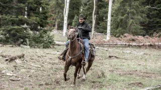 Yellowstone (8/9)