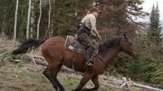 Yellowstone (8/9)
