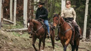 Yellowstone (8/9)