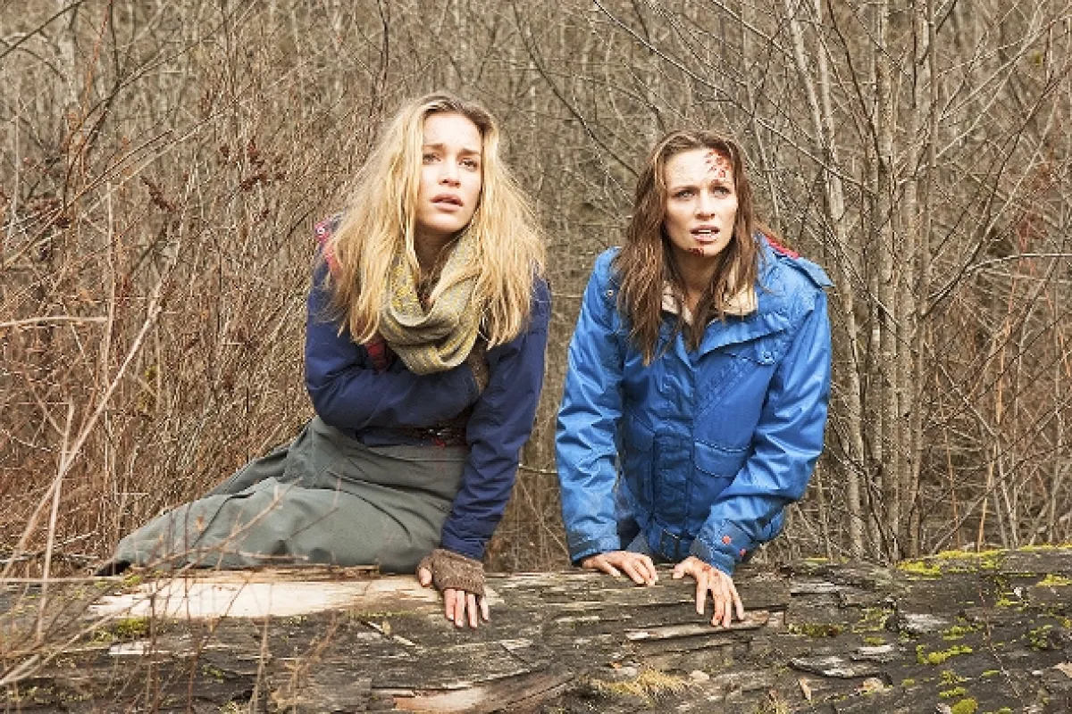 Grizly (Into the Grizzly Maze), 2015 - fotogaléria
