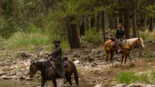 Yellowstone (6/9)