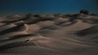 Zázračná planeta: Savci (1/6)