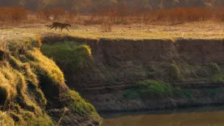Zázračná planeta: Savci (1/6)