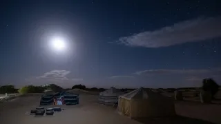 Zázračná planeta: Savci (1/6)
