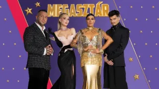 Megasztár VIII (4)