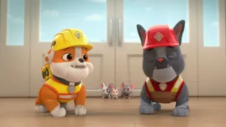 Rubble a jeho parta