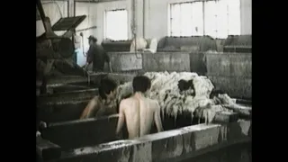 Laogai: Národ vězňů (2/2)