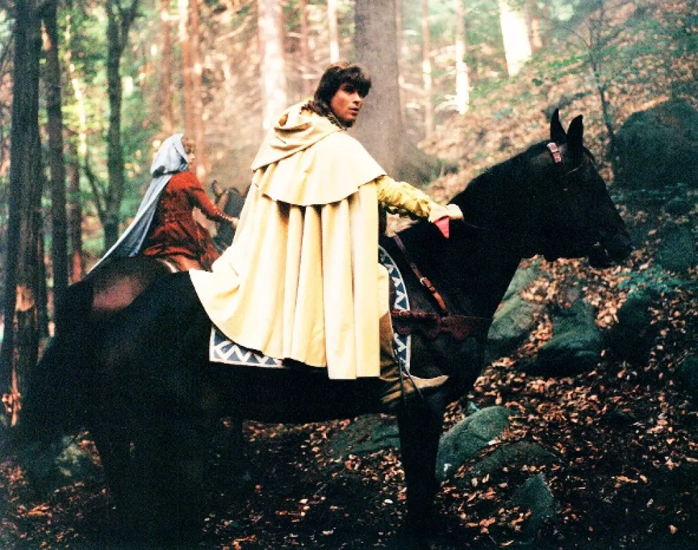 Zelený rytíř, 1993 - fotogaléria