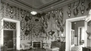 Bohemia Incognita
