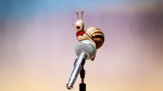 Spievaj!