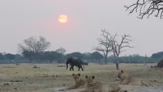Rok na planetě Zemi (5/6)