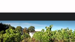 Pravda o vetřelcích