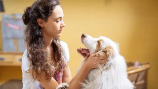 Inspektorka Candice Renoirová