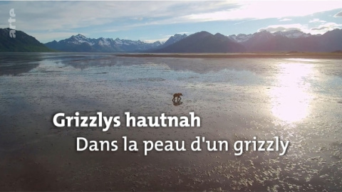 Setkání s grizzlym (2)