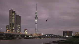 Kráľovstvo divočiny: Príroda v Tokiu - leto