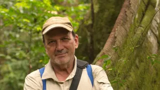 Gorily v Gabonu: Kamaya a jeho rodina