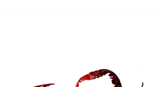 Búrlivé víno III (22)