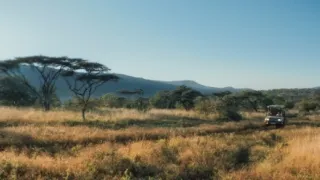 Thabo a případ Nosorožec