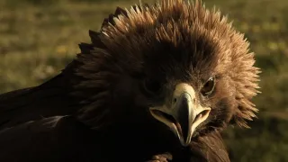 Na cestě po Mongolském Altaji