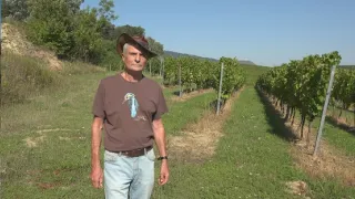 Věstonická venuše - Sto let od nálezu, který změnil dějiny