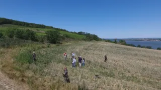 Věstonická venuše - Sto let od nálezu, který změnil dějiny