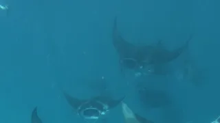 Rok na planetě Zemi (6/6)