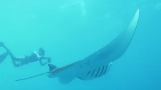 Rok na planetě Zemi (6/6)